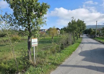 Foto 8 - Terreno agricolo C/da chianola, Nusco - foto 8