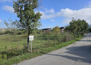 Foto 10 - Terreno agricolo C/da chianola, Nusco - foto 10