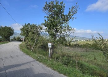 Foto 12 - Terreno agricolo C/da chianola, Nusco - foto 12