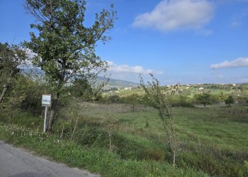 Foto 13 - Terreno agricolo C/da chianola, Nusco - foto 13