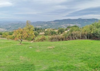 Foto 14 - Casa indipendente Contrada Fossi, Guardia Lombardi - foto 14