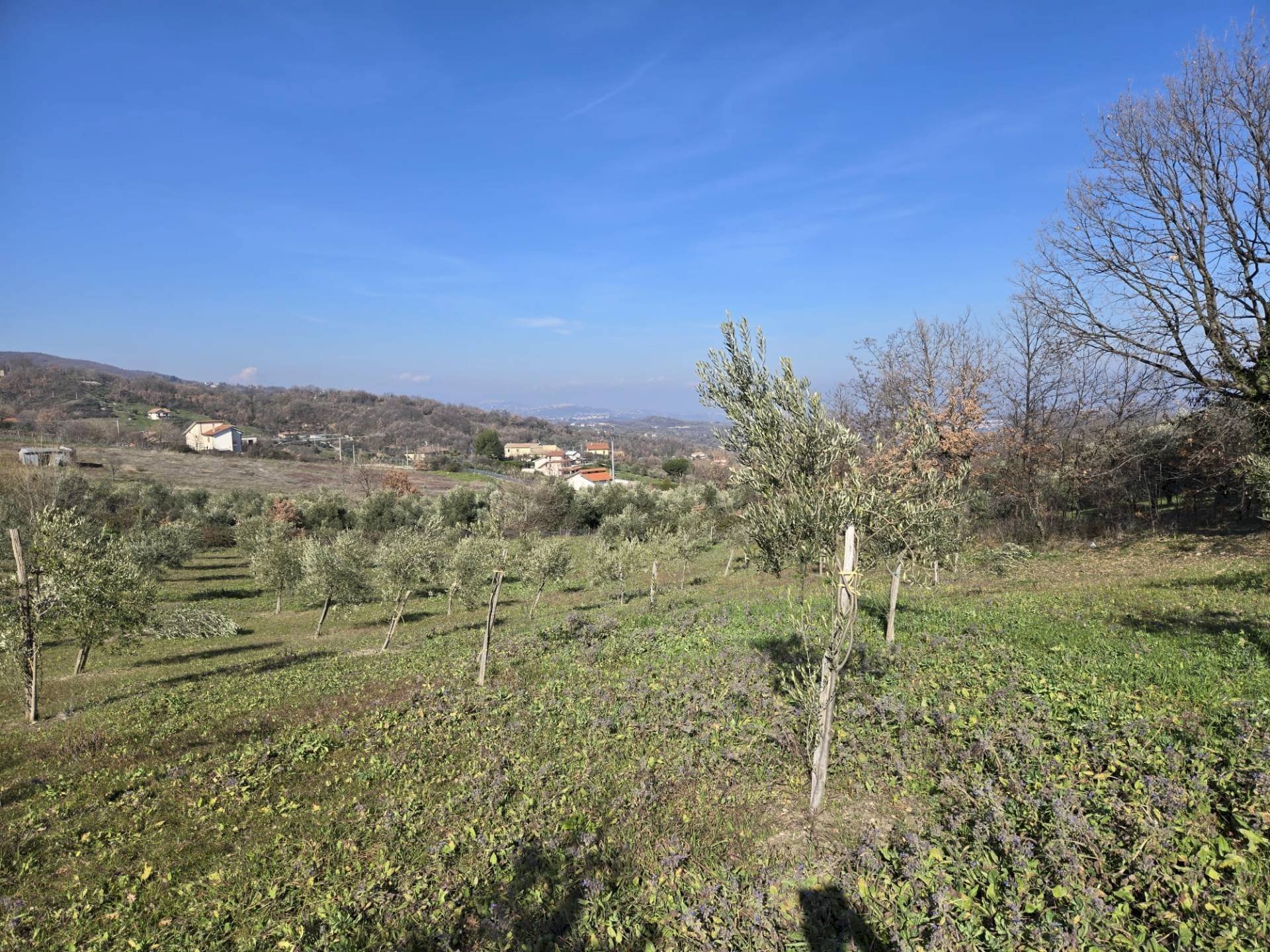Foto 3 - Agricultural land via Santo Stefano, Montemarano - photo 3