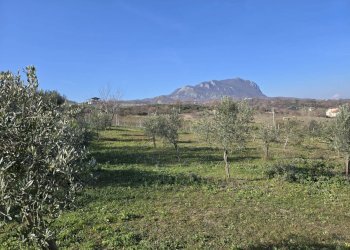 Foto 1 - Terreno agricolo via Santo Stefano, Montemarano - foto 1