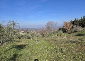Foto 2 - Terreno agricolo via Santo Stefano, Montemarano - foto 2