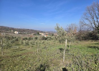 Foto 3 - Terreno agricolo via Santo Stefano, Montemarano - foto 3