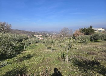 Foto 4 - Terreno agricolo via Santo Stefano, Montemarano - foto 4