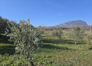 Foto 5 - Terreno agricolo via Santo Stefano, Montemarano - foto 5