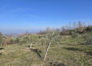 Foto 6 - Terreno agricolo via Santo Stefano, Montemarano - foto 6
