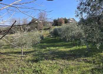 Foto 7 - Terreno agricolo via Santo Stefano, Montemarano - foto 7