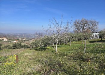 Foto 12 - Terreno agricolo via Santo Stefano, Montemarano - foto 12