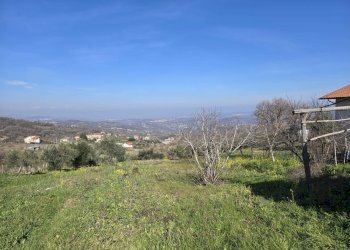 Foto 13 - Terreno agricolo via Santo Stefano, Montemarano - foto 13