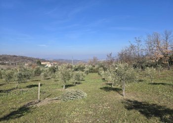 Foto 18 - Terreno agricolo via Santo Stefano, Montemarano - foto 18