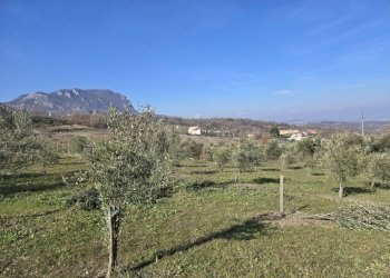 Foto 19 - Terreno agricolo via Santo Stefano, Montemarano - foto 19