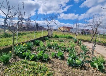 Foto 13 - Casa indipendente C.da Scampata
 
20, Flumeri - foto 13