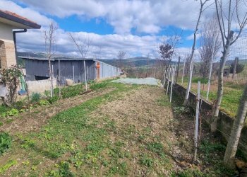 Foto 14 - Casa indipendente C.da Scampata
 
20, Flumeri - foto 14