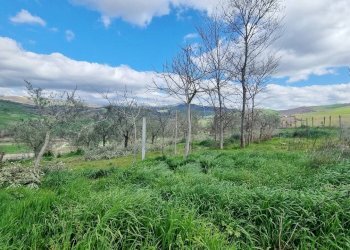 Foto 15 - Casa indipendente C.da Scampata
 
20, Flumeri - foto 15