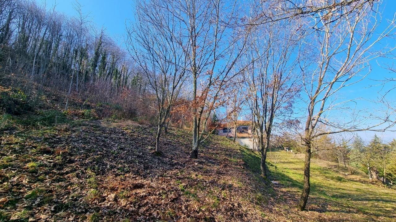 Foto 3 - Casa indipendente Via Coste
 
5, Guardia Lombardi - foto 3