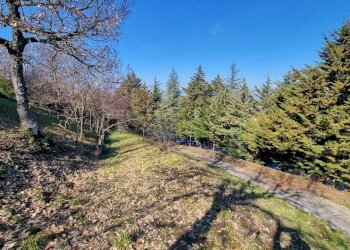 Foto 10 - Casa indipendente Via Coste
 
5, Guardia Lombardi - foto 10