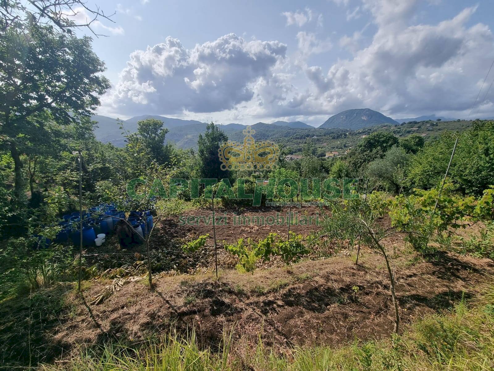 Foto 3 - Terreno agricolo sp18, Montoro - foto 3