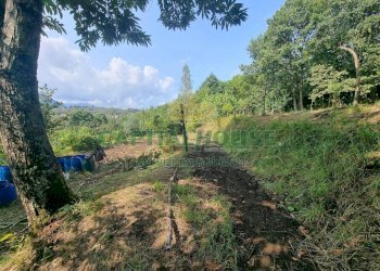 Foto 2 - Terreno agricolo sp18, Montoro - foto 2