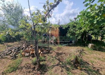 Foto 4 - Terreno agricolo sp18, Montoro - foto 4