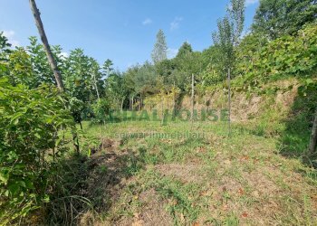 Foto 7 - Terreno agricolo sp18, Montoro - foto 7