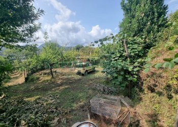 Foto 9 - Terreno agricolo sp18, Montoro - foto 9