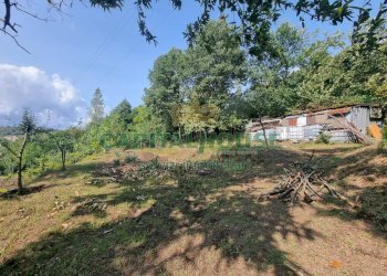 Foto 10 - Terreno agricolo sp18, Montoro - foto 10