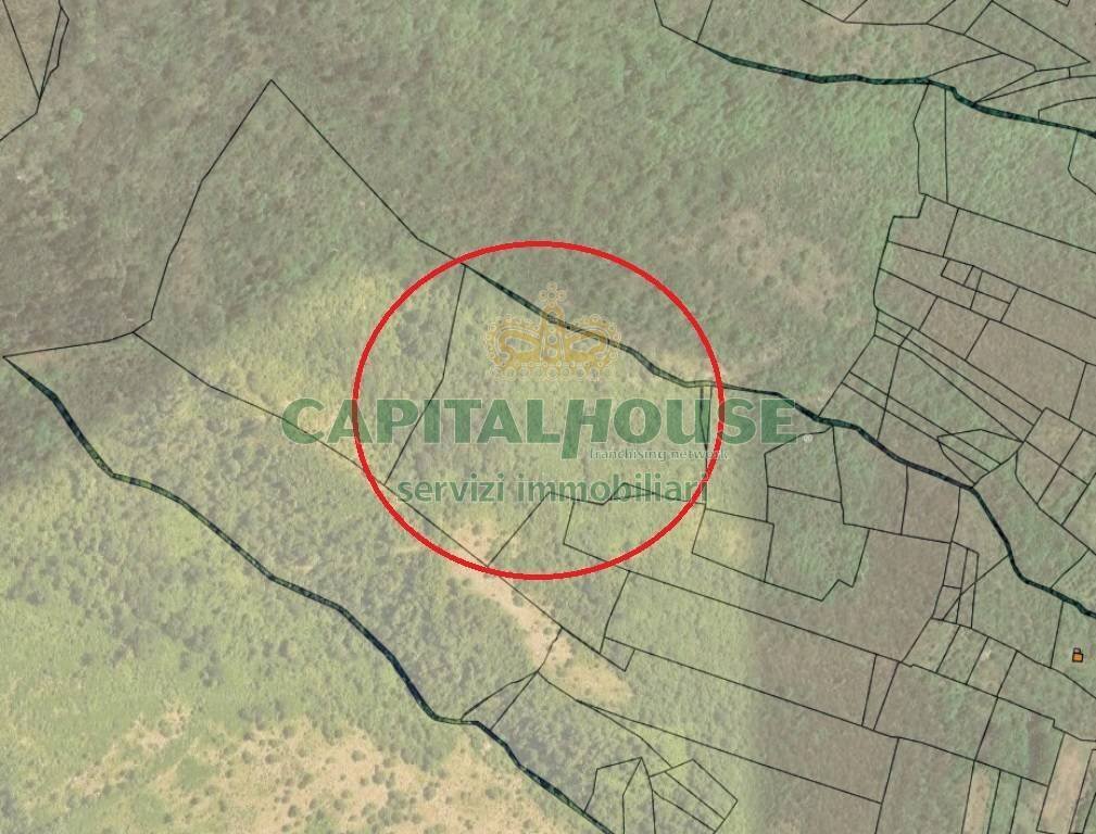 Foto 1 - Terreno agricolo via parrelle, Montoro - foto 1