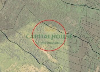 Foto 1 - Terreno agricolo via parrelle, Montoro - foto 1