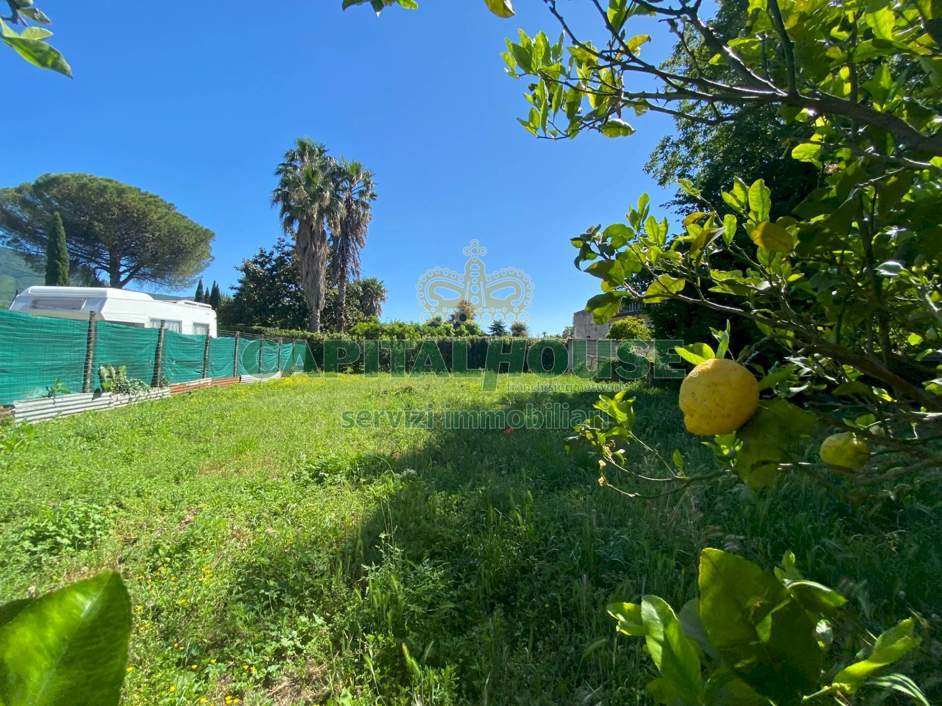 Foto 2 - Trilocale Via Sala, Montoro - foto 2