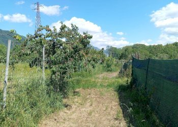 Foto 6 - Terreno agricolo corso Pietro Ascolese, Montoro - foto 6