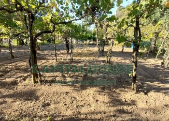 Foto 11 - Casa semi indipendente corso pietro ascolese, Montoro - foto 11