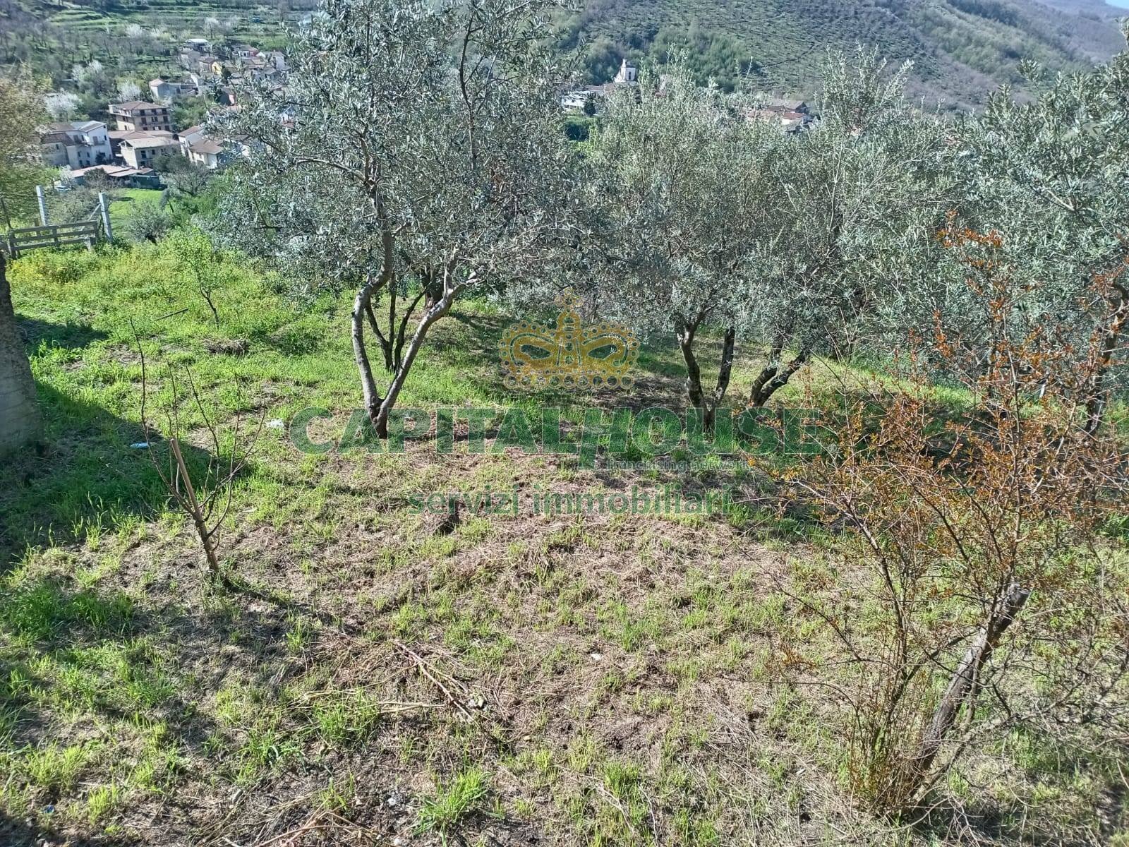 Foto 2 - Casa semi indipendente via Fontana, Montoro - foto 2