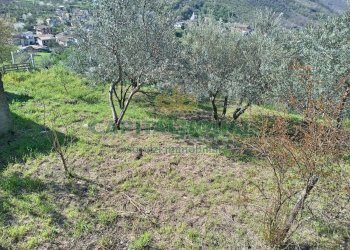 Foto 2 - Casa semi indipendente via Fontana, Montoro - foto 2