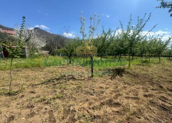 Foto 2 - Villa via dell'irpinia, Fisciano - foto 2