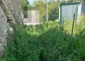 Foto 4 - Rustico via sp90, Montoro - foto 4