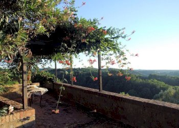 Foto 5 - Stabile - Palazzo montopoli in valdarno, Montopoli in Val d'Arno - foto 5