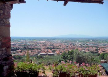 Foto 3 - Rustico Monsummano Terme - foto 3