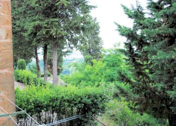 Foto 13 - Rustico Montaione, Montaione - foto 13