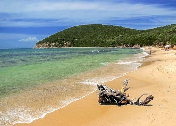 Foto 3 - Residence Marina di Grosseto, Grosseto - foto 3