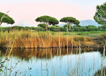 Foto 4 - Residence Marina di Grosseto, Grosseto - foto 4