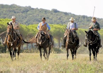 Foto 6 - Residence Marina di Grosseto, Grosseto - foto 6