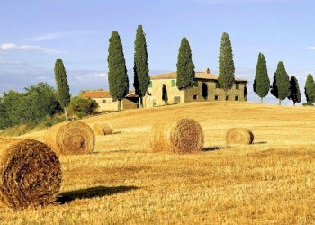 Foto 9 - Residence Marina di Grosseto, Grosseto - foto 9