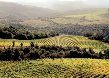 Foto 10 - Residence Marina di Grosseto, Grosseto - foto 10