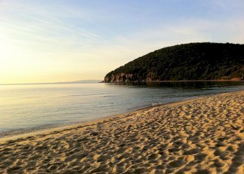 Foto 12 - Residence Marina di Grosseto, Grosseto - foto 12