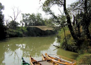 Foto 14 - Residence Marina di Grosseto, Grosseto - foto 14