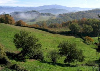 Foto 15 - Residence Marina di Grosseto, Grosseto - foto 15