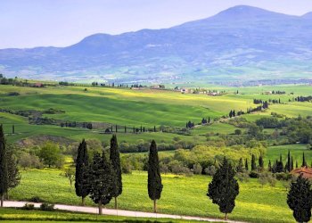 Foto 17 - Residence Marina di Grosseto, Grosseto - foto 17