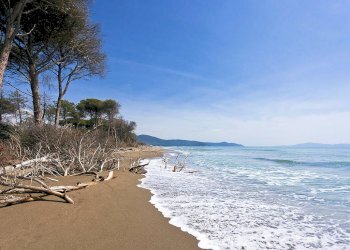 Foto 19 - Residence Marina di Grosseto, Grosseto - foto 19